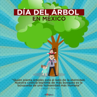 Este 13 de julio se celebra en México el Día del Árbol. (EL SIGLO DE TORREÓN)