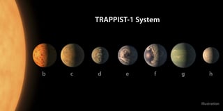 El descubrimiento de TRAPPIST-1 causó gran expectación cuando fue anunciado el pasado febrero, por tratarse de un sistema de siete planetas de masa similar al nuestro y posiblemente rocosos, tres de los cuales se encuentran en la zona habitable. (EFE)