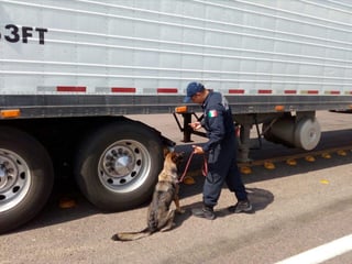 Al realizar funciones de inspección, vigilancia y prevención del delito, en las inmediaciones de la carretera federal Saltillo-Torreón, los policías federales visualizaron un camión al que le solicitaron detuvieron su marcha para una revisión de seguridad.
