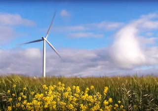 Las mejores alternativas en energías renovables