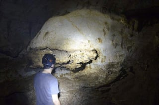 Estas evidencias se obtuvieron en el análisis de fósiles de dos dientes encontrados hace más de un siglo en la cueva Lida Ajer, en la planicie de Padang, en la costa oeste de Sumatra. (ESPECIAL)