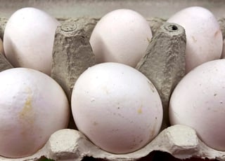 Chickfriend es la compañía holandesa sospechosa de haber utilizado el producto, que fue detectado en huevos de Bélgica y Holanda, en establos donde había gallinas y pollos. (ARCHIVO)