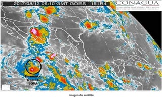 'Jova' no llegará a convertirse en huracán y se alejará paulatinamente de las costas mexicanas. (ESPECIAL)