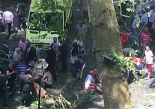 Gran árbol cae durante festival y mata a 11 personas