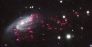 Los astrónomos analizaron la configuración de siete galaxias 'medusa' ubicadas en clústeres cercanos a la Tierra, seis de las cuales resultaron contener un agujero negro supermasivo que se alimenta del gas que gira a su alrededor. (EFE)
