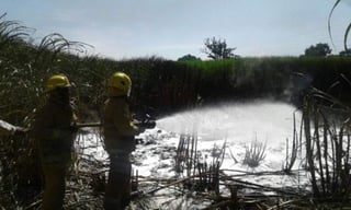 La explosión ocurrió en el kilómetro 302+745, aproximadamente, del poliducto Minatitlán-México, ubicado en las inmediaciones del poblado de Zapoapan, municipio de Ixtaczoquitlan, Veracruz. (ESPECIAL)