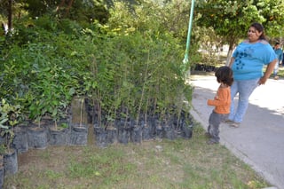 Árboles. Realizan otra campaña en Lerdo para plantar más árboles y favorecer al ambiente con apoyo de la CFE. (ARCHIVO)