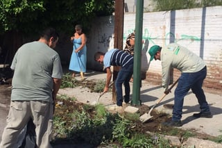 Campaña. Continúan realizando acciones en familia para la  reforestación y limpieza de espacios públicos en Gómez Palacio. (CORTESÍA)