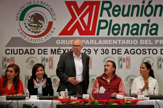 Argumentó que en el partido hay gente con el perfil que delineó el presidente Enrique Peña Nieto para ser el candidato priista y llegar a Los Pinos. (ARCHIVO)