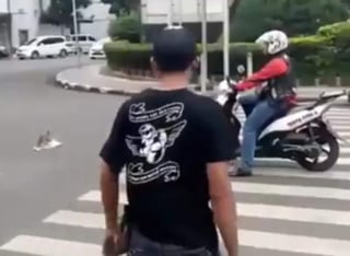 El conductor de la moto se detuvo sobre el paso designado para peatones. (YOUTUBE)