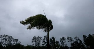 'Irma' tocó tierra hoy en Florida. (AP) 