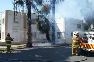 Fuego. Cortocircuito en cables de energía eléctrica queman dos palmeras en el Centro de Gómez Palacio. (EL SIGLO DE TORREÓN)