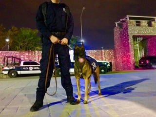 Se solidarizan. La DSPM de Torreón envió anoche a la Ciudad de México a dos perros y cuatro agentes especializados en rescate y ubicación de personas. (TWITTER)