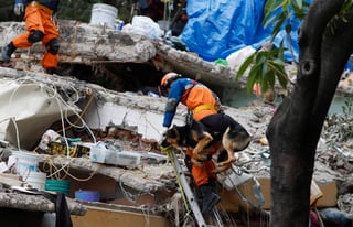 Equipo. Un perro es subido por un rescatista a la zona de derrumbe de Ciudad Jardín, en Coyoacán, Ciudad de México. Los perros han sido de gran utilidad para el hallazgo de personas entre los escombros tras el sismo que azotó al centro y sur del país. (AP)

