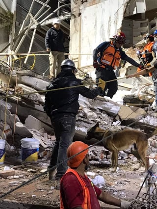 Labor. Los binomios de la DSPM se sumaron a las labores de búsqueda entre los escombros en la Ciudad de México. (EL SIGLO DE TORREÓN)
