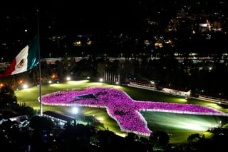 Alrededor de 15 mil personas formaron un moño color rosa
para marcar el inicio de la campaña anual de sensibilización
contra el cáncer de mama en México. (EFE)