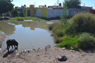 Irregularidades. Así luce la calle Piragita del Fraccionamiento Joyas del Oriente de Torreón. Vecinos piden una solución. (ANGÉLICA SANDOVAL)
