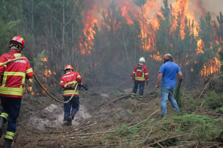Otros 110 incendios forestales se registraron en las últimas horas, con lo que en total los bomberos combaten 523 focos de fuego, cifra récord en lo que va del año en Portugal. (EFE)