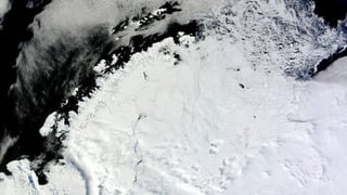 La abertura es conocida como una polinia, un espacio abierto de agua rodeado de hielo marino, el cual presenta un tamaño de unos 80 mil kilómetros cuadrados. (ARCHIVO)