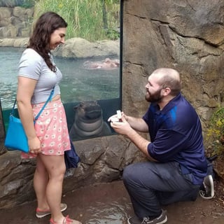 Una foto compartida en Instagram muestra al hipopótamo bajo el agua con su rostro cerca del cristal, mientras Nick Kelble se arrodilla para declarar su amor a Hayley Roll. (AP)