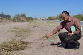 Eliminan árboles. Tumban población de mezquite americano en el bulevar Torreón 2000. (EDITH GONZÁLEZ)