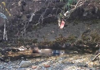 El cuerpo estaba boca arriba en el cause de agua que se ubica a espaldas el parque 'La Maquinita' por la calle Felipe Berriozábal. (EL SIGLO DE TORREÓN)