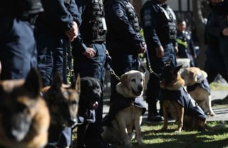 En un evento realizado en las instalaciones de la PF en Iztapalapa, Castilla Craviotto dijo que los 14 oficiales ahora tendrán un hogar y una familia. Se trata de caninos especializado en la detección de droga, dinero, sustancias explosivas y restos humanos. (ESPECIAL)