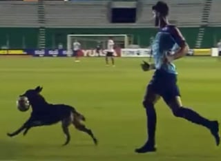 El perro interrumpió el partido del Torneo de Apertura en Bolivia. (YOUTUBE)