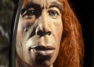 El hombre de Neandertal fue una especie humana inteligente que convivió con el Homo sapiens y que se extinguió hace 40,000 años. (ARCHIVO)