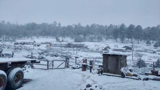 Ciénega de la Vaca, del municipio de Guanaceví, Durango, amaneció este viernes con 3-4 pulgadas de nieve. (EL SIGLO DE TORREÓN)