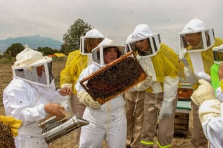 Producción. Este año la apicultura subsistió y se quedó corta en comparación con 2016. (EL SIGLO DE TORREÓN)