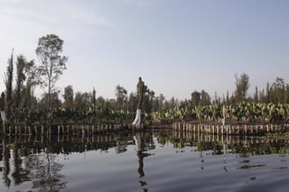  Los canales de Xochimilco en el sur de Ciudad de México y sus chinampas, legado de la época prehispánica, reflejan el ambiente sereno y nostálgico de su innegable abandono por la falta de apoyo de las autoridades responsables en la zona. (EFE)