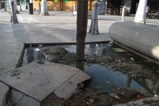 Suciedad. El Paseo Morelos de Torreón ya sufre de brotes de aguas negras, usuarios y comerciantes se quejan. (ROBERTO ITURRIAGA)
