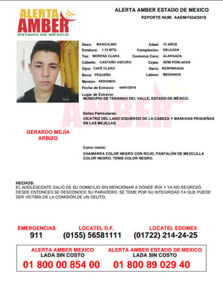 La familia de Gerardo 'N', de 15 años de edad, pidió auxilio para dar con su paradero tras nueve días desaparecido. (ARCHIVO)