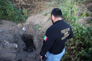 En predio. Desde el domingo pasado se han encontrado 33 cuerpos en varias fosas en el municipio de Xalisco, Nayarit. (AGENCIAS) 