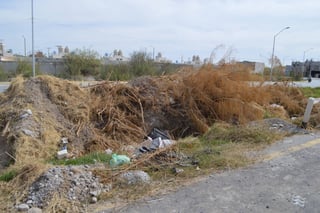 Problemática. Vecinos buscan que se eliminen los desechos que se han dejado en el camellón central del bulevar Torreón 2000.