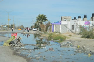 Problema de salud. Los brotes de aguas negras abarcan casi una cuadra del bulevar de la Libertad, en Ex hacienda La Perla. (EL SIGLO DE TORREÓN) 