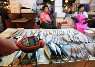 En alerta. Debido a la radiación que sufrió la zona de Fukushima, países piden no importar pescados de esa región. (AGENCIAS)