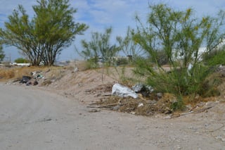 Suciedad. La calle Sierra de los Micos se observa entre escombros y montones de basura desde hace años. (ROBERTO ITURRIAGA)