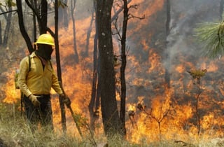 Zona. Santiago Papasquiaro es el municipio más afectado por los incendios forestales. (EL SIGLO DE TORREÓN)