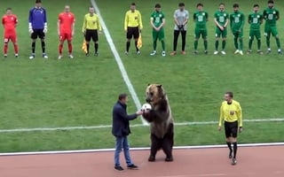 Un oso entrenado le dio el balón del juego al árbitro en un partido de la tercera división en Rusia. (AP)