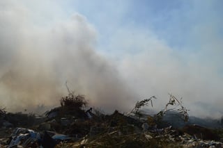 Otra vez. Se registró un nuevo incendio en terrenos de la colonia J. Luz Torres, al sur de Torreón.
