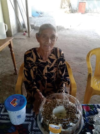 Josefa Castro tiene 66 años. (CORTESÍA)