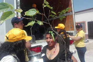 Reforestación. Se efectuó una campaña en el fraccionamiento La Floresta; una empresa donó los árboles.
