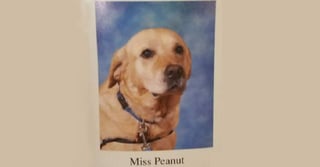 'Miss Peanut' conmueve en la red. (Especial)