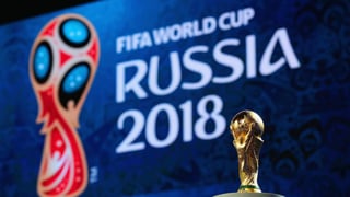 Hace casi tres semanas, el regulador de los medios, Roskomnadzor, bloqueó 259 páginas web que vendían boletos para los partidos del Mundial y “souvenirs” falsos. (Cortesía)