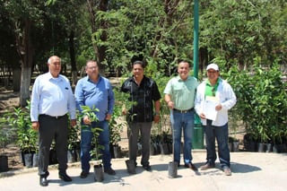 El Ayuntamiento de Lerdo hizo la entrega simbólica de 7 mil arboles a los municipios de Torreón, Gómez Palacio y Matamoros. (EL SIGLO DE TORREÓN)