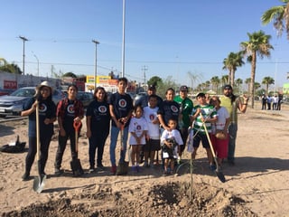 Campaña. Grupo Modelo se consolida como Empresa socialmente Responsable con su campaña de reforestación en Torreón. (EL SIGLO DE TORREÓN/VIRGINIA HERNÁNDEZ)