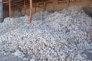 Ric Hendee explicó que el algodón es más caro porque su proceso para la producción de ropa tiene mayores dificultades. (ARCHIVO)