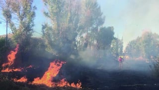 Daño. El 80.6% de la superficie afectada por los incendios forestales registrados durante 2018 corresponde a cinco municipios.